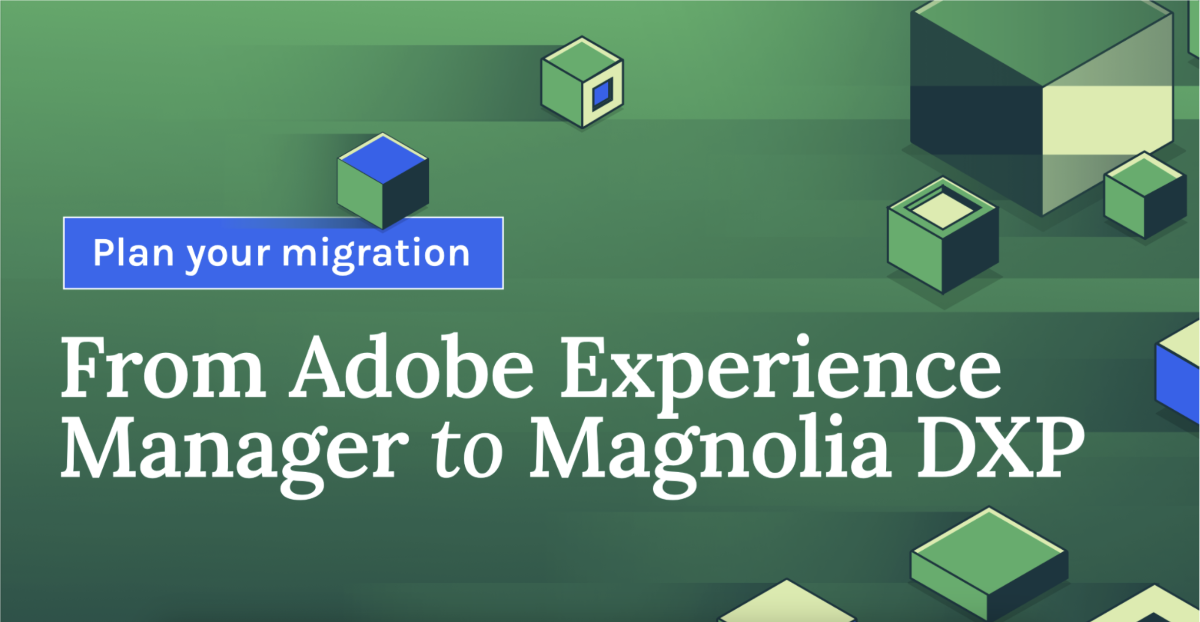 Streamlining digital experience: From Adobe Experience Manager to Magnolia DXP  Thumbnail