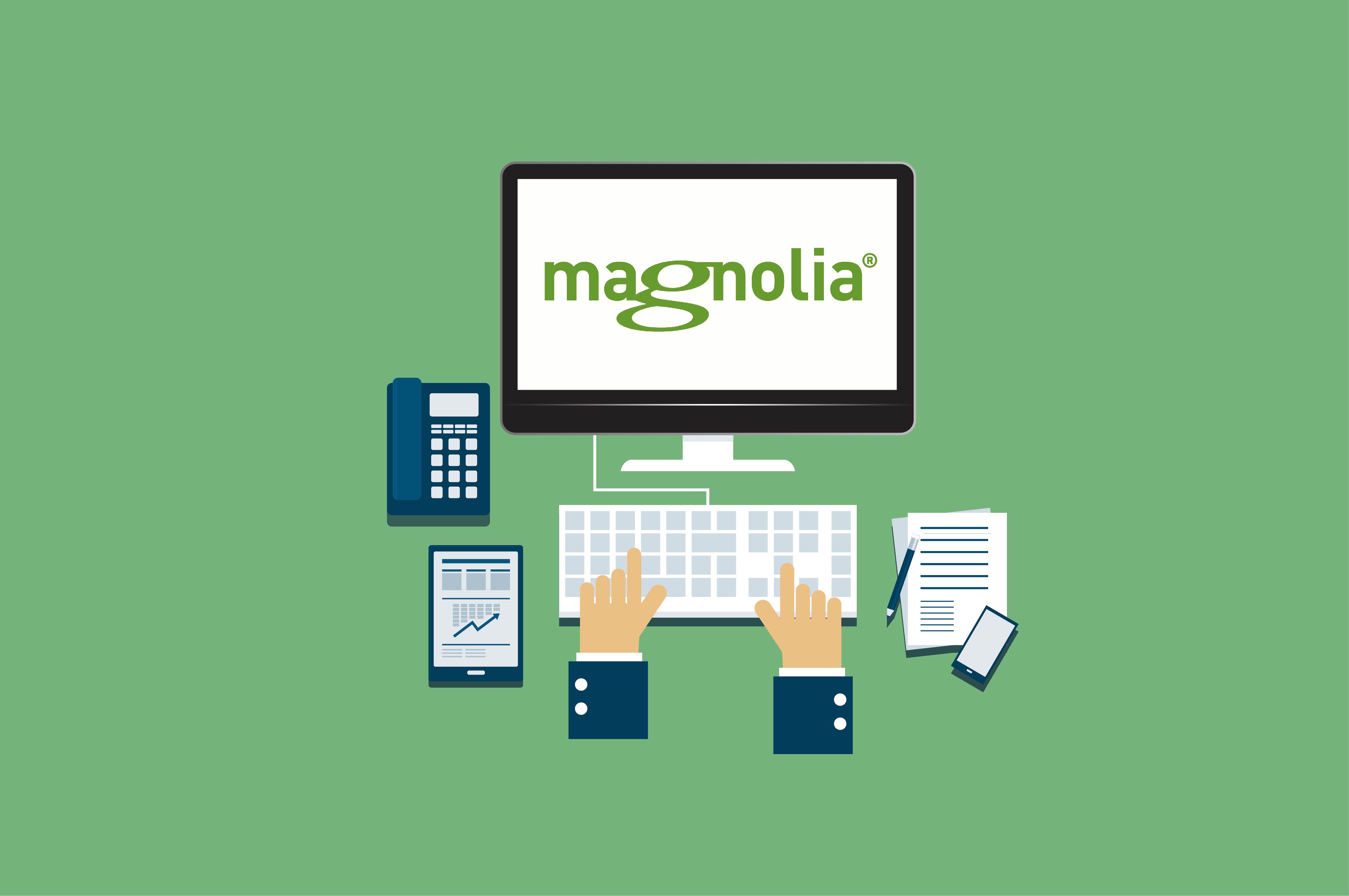 Magnolia CMS as a component of the digital enterprise